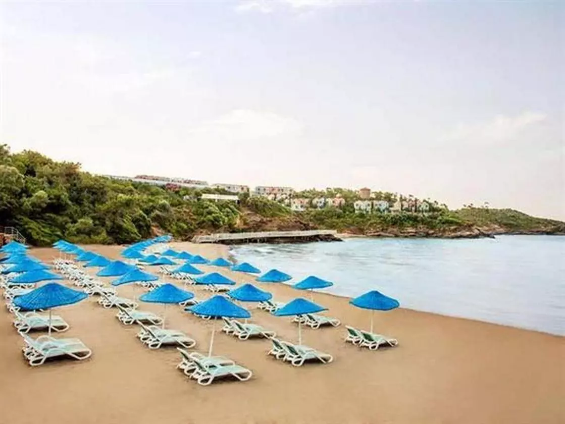 PALOMACLUBSULTAN_SHABAVIZ (3).jpg